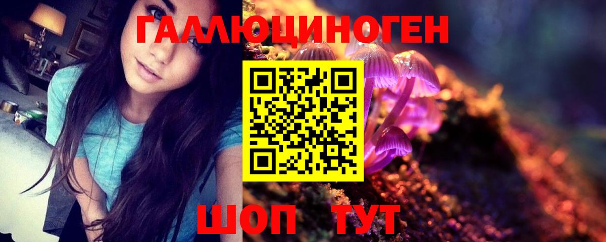 Галлюциногенные грибы ЛСД  Галлюциногенные грибы Psilocybine cubensis  Дербент  Вход с VPN 